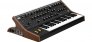 moogsub37